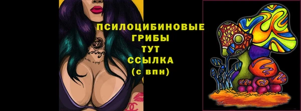 бошки Алексеевка