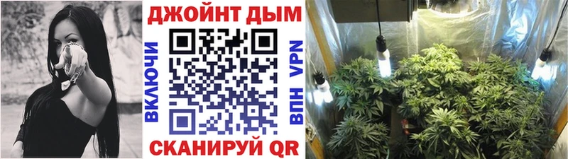 omg вход  Шилка  Каннабис Bruce Banner 